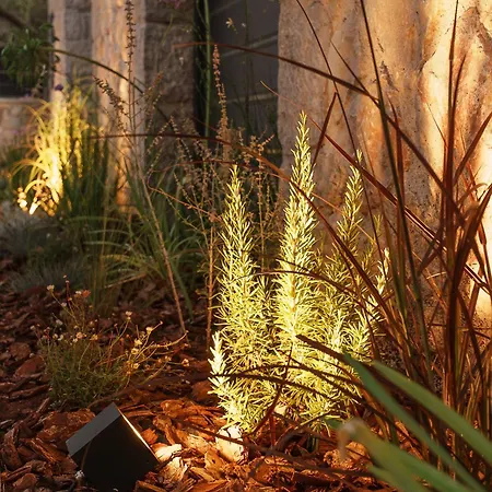 别墅 Ertha Retreat Homes *