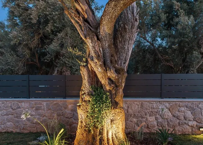 Ertha Retreat Homes Lefkáda